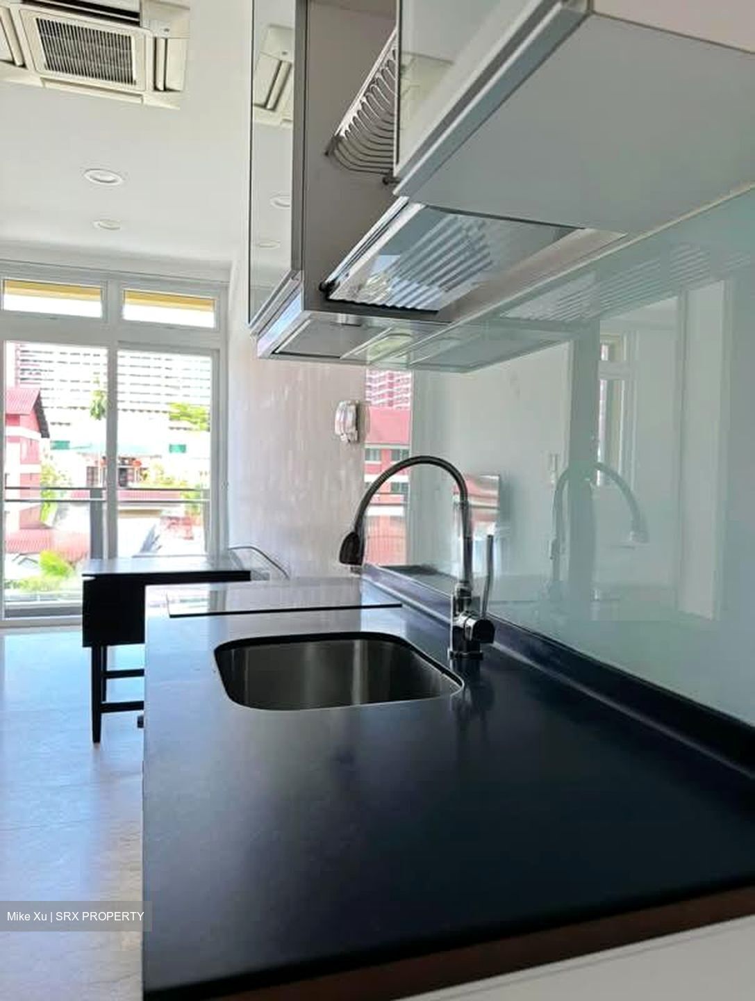 Suites @ Bukit Timah (D21), Apartment #557703361